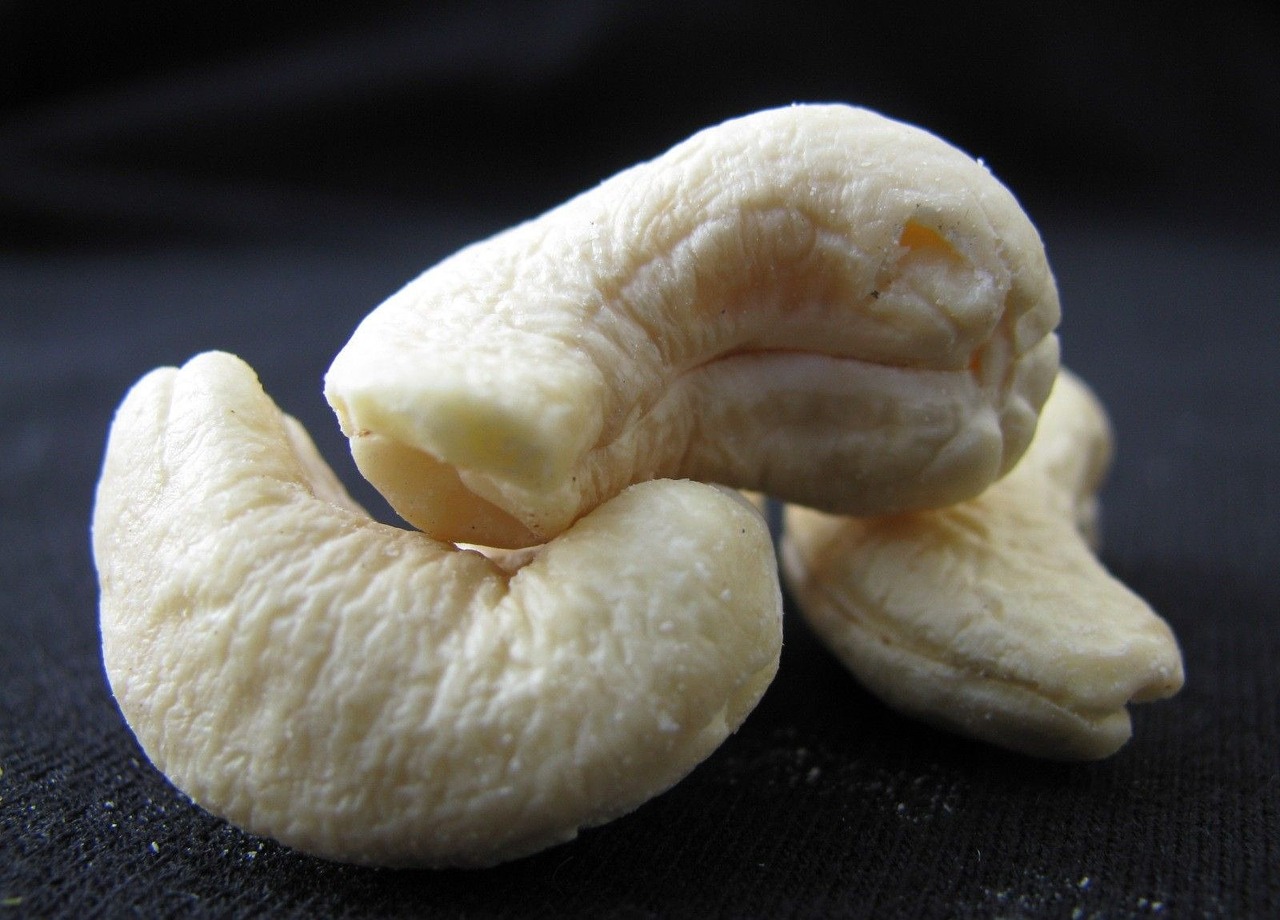 cashew nuts white nuts free photo