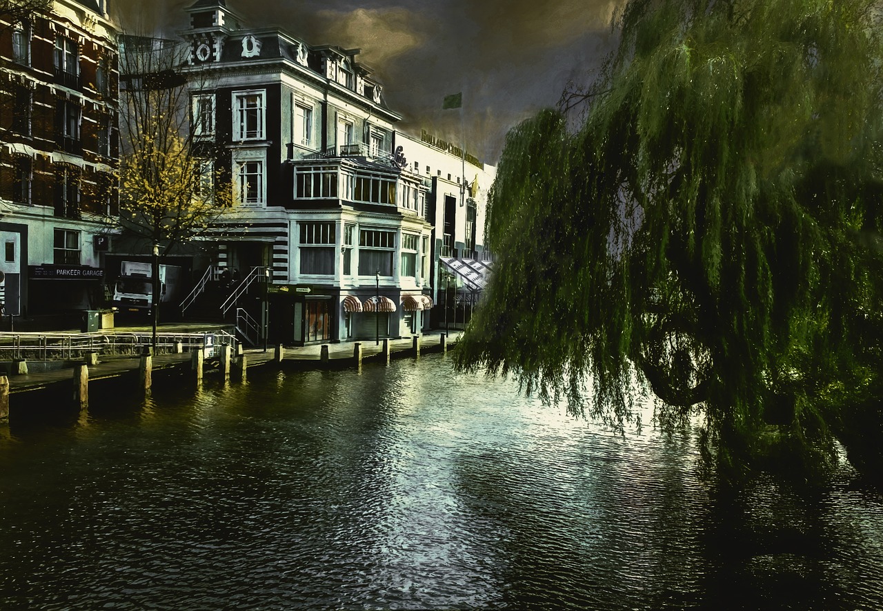 amsterdam river tree free photo