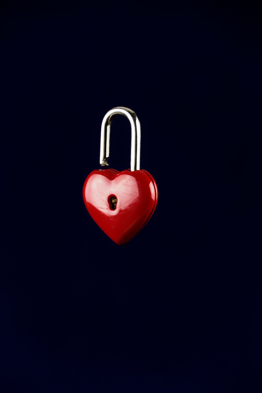 castle security heart free photo