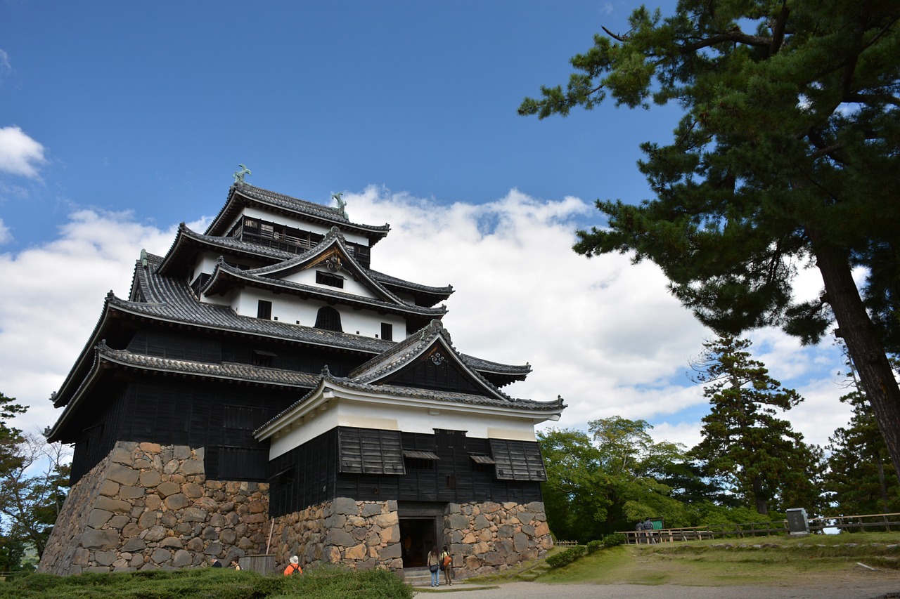 castle japan shimane free photo