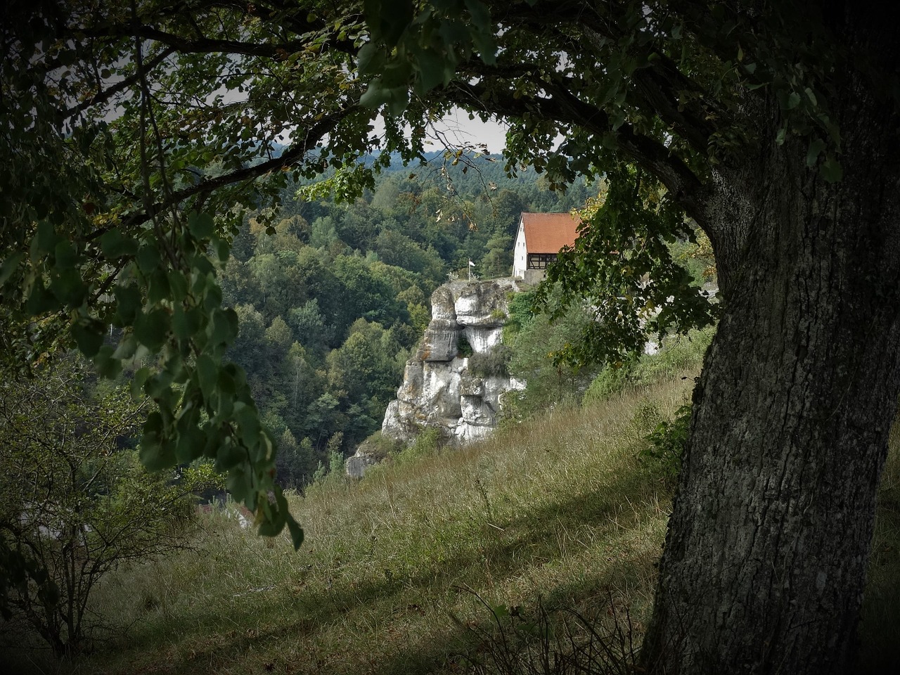 castle pottenstein tree free photo