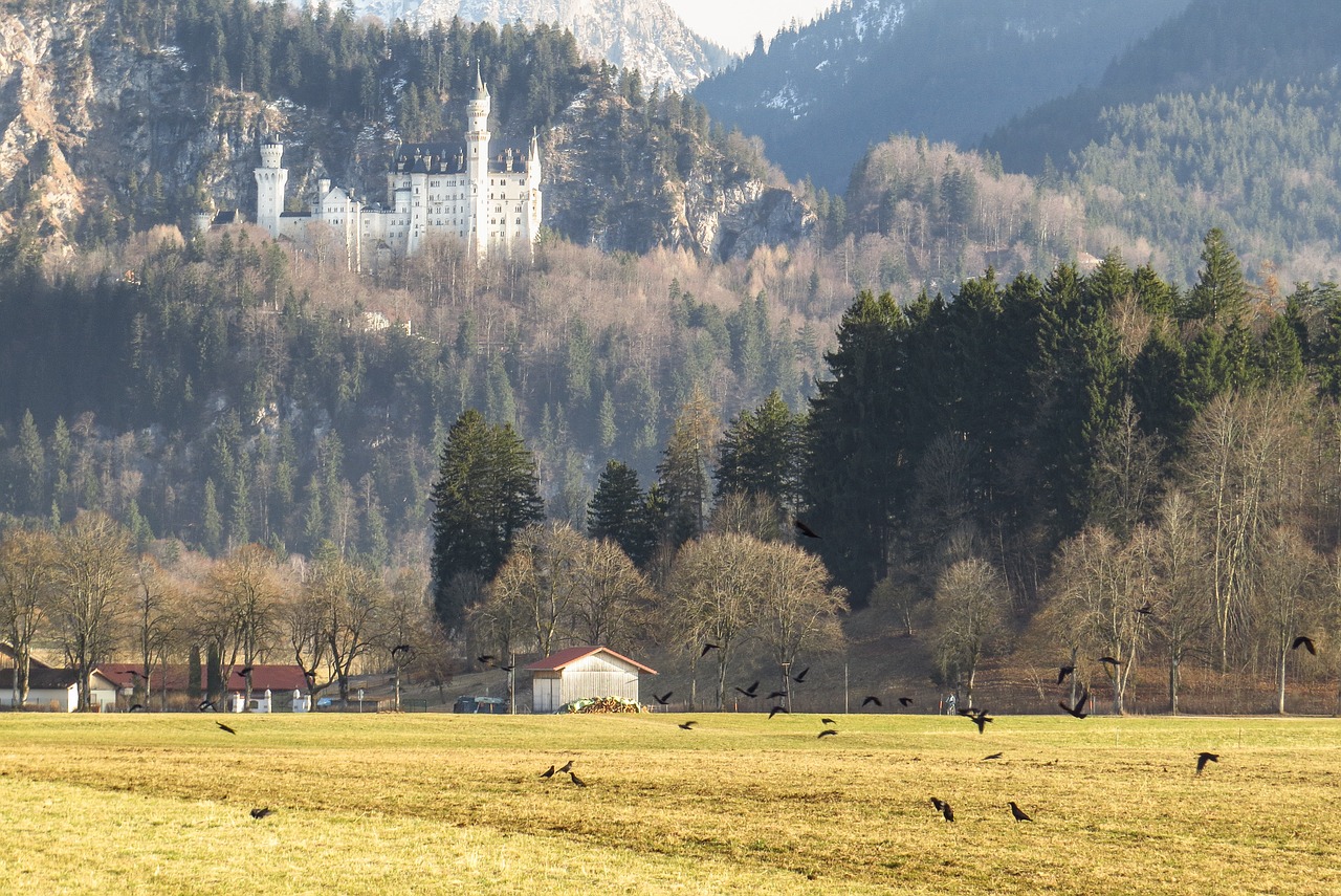 castle kristin schwangau free photo