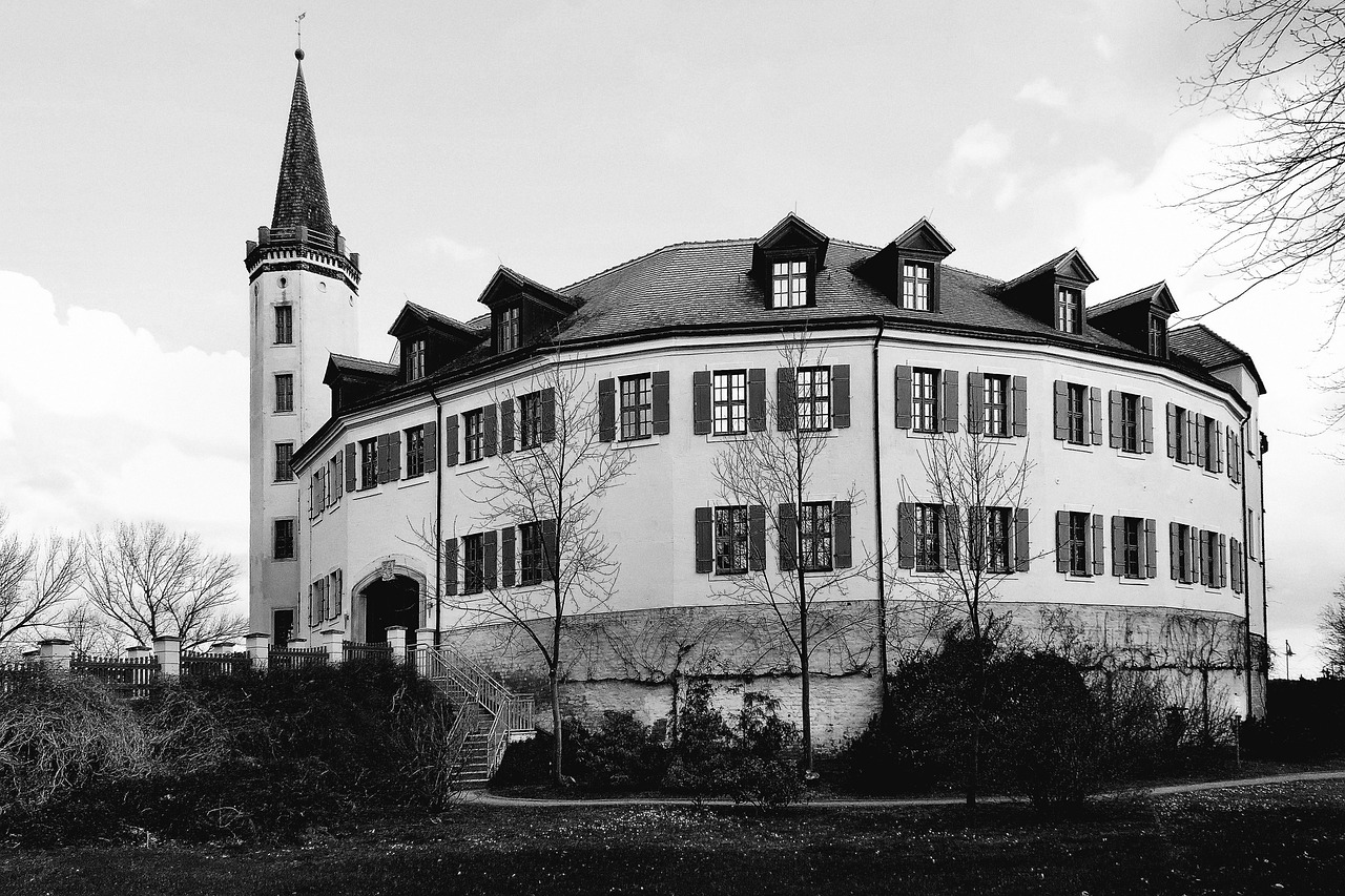 castle jessen jessen magpie free photo