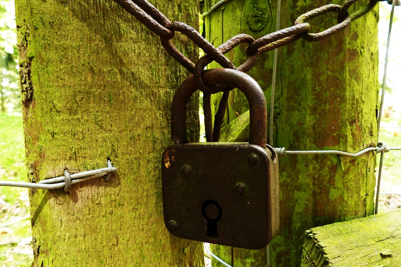 castle padlock rusty free photo