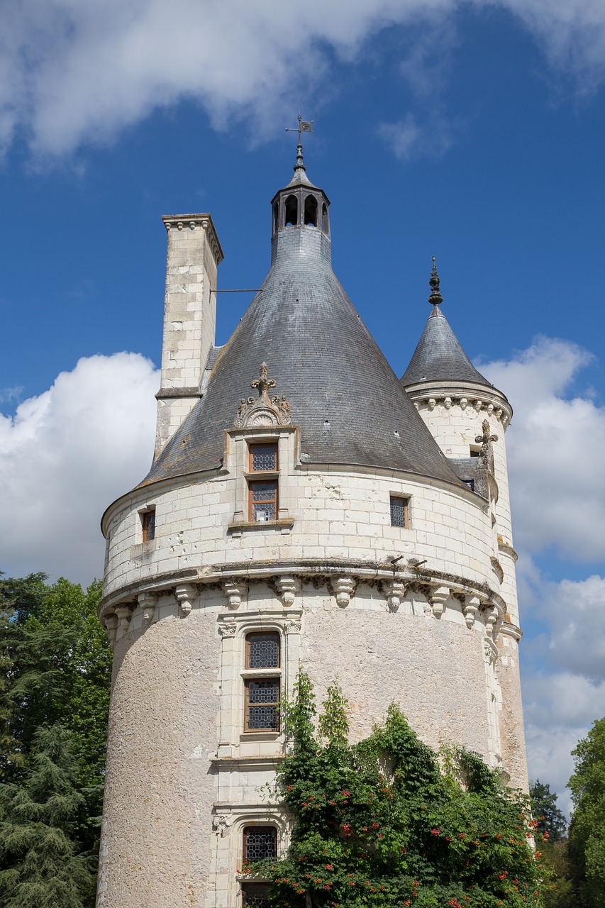 castle loire valley château de chenonceau free photo
