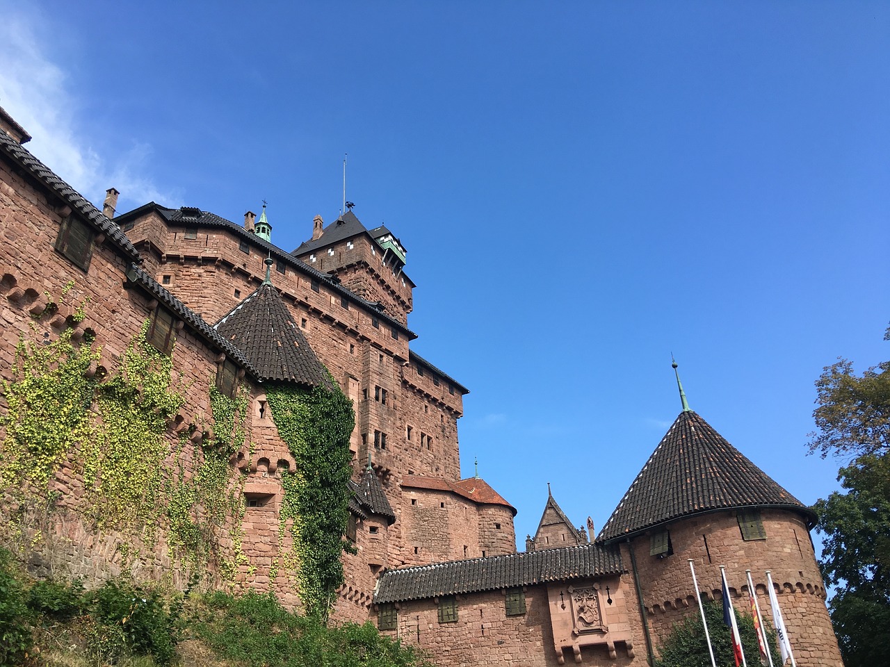 castle the haut-koenigsbourg free photo