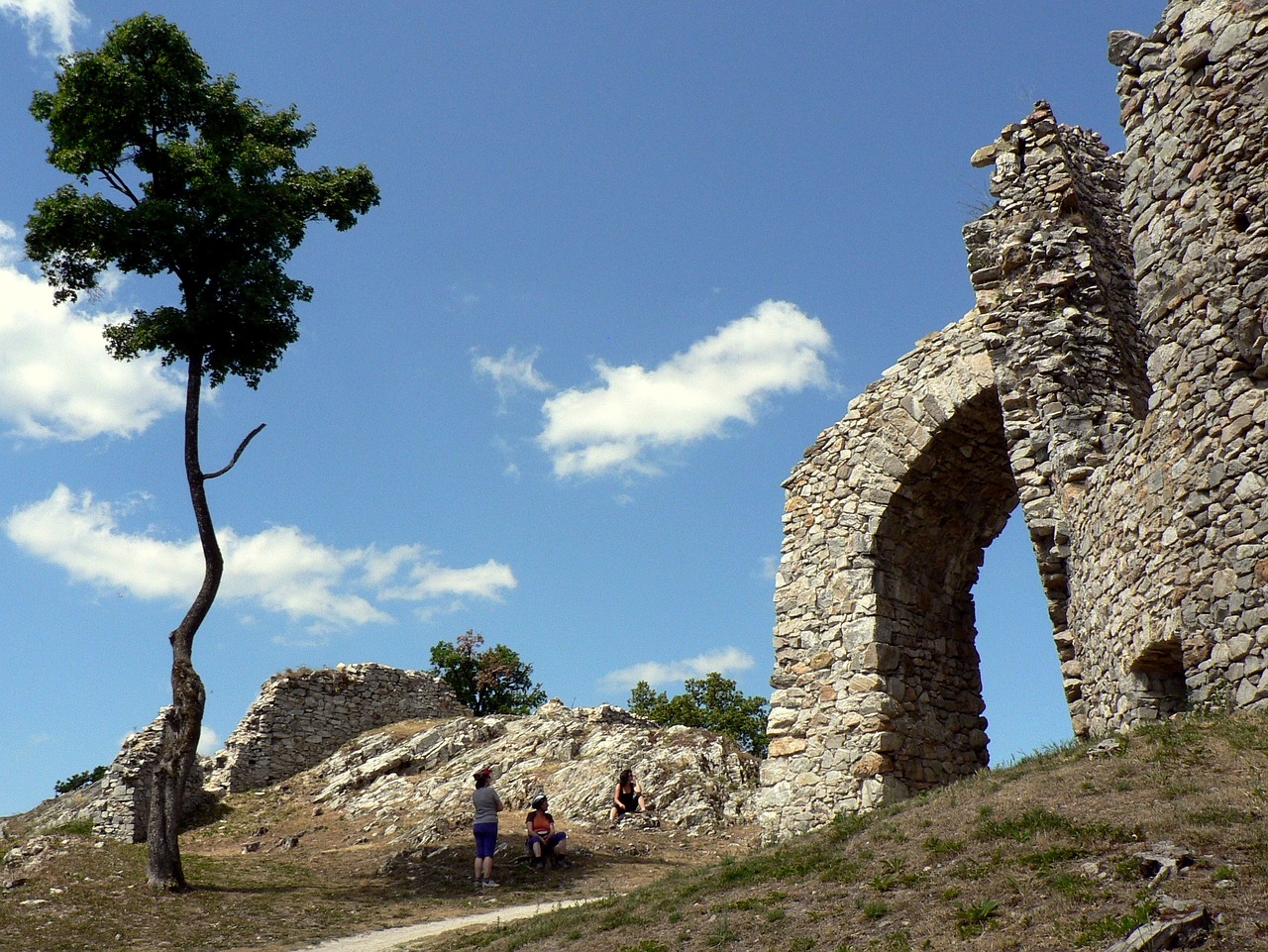 castle tree ruins free photo