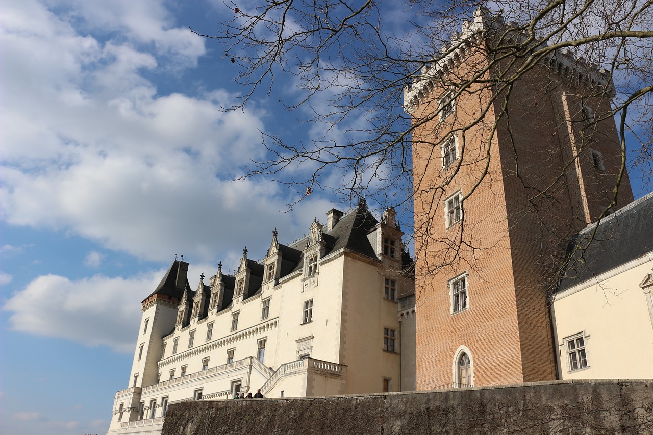 castle pau france free photo