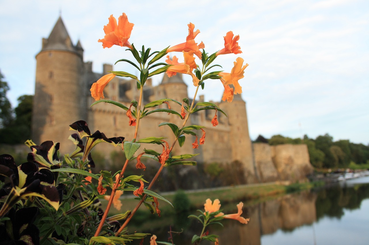 castle middle ages france free photo