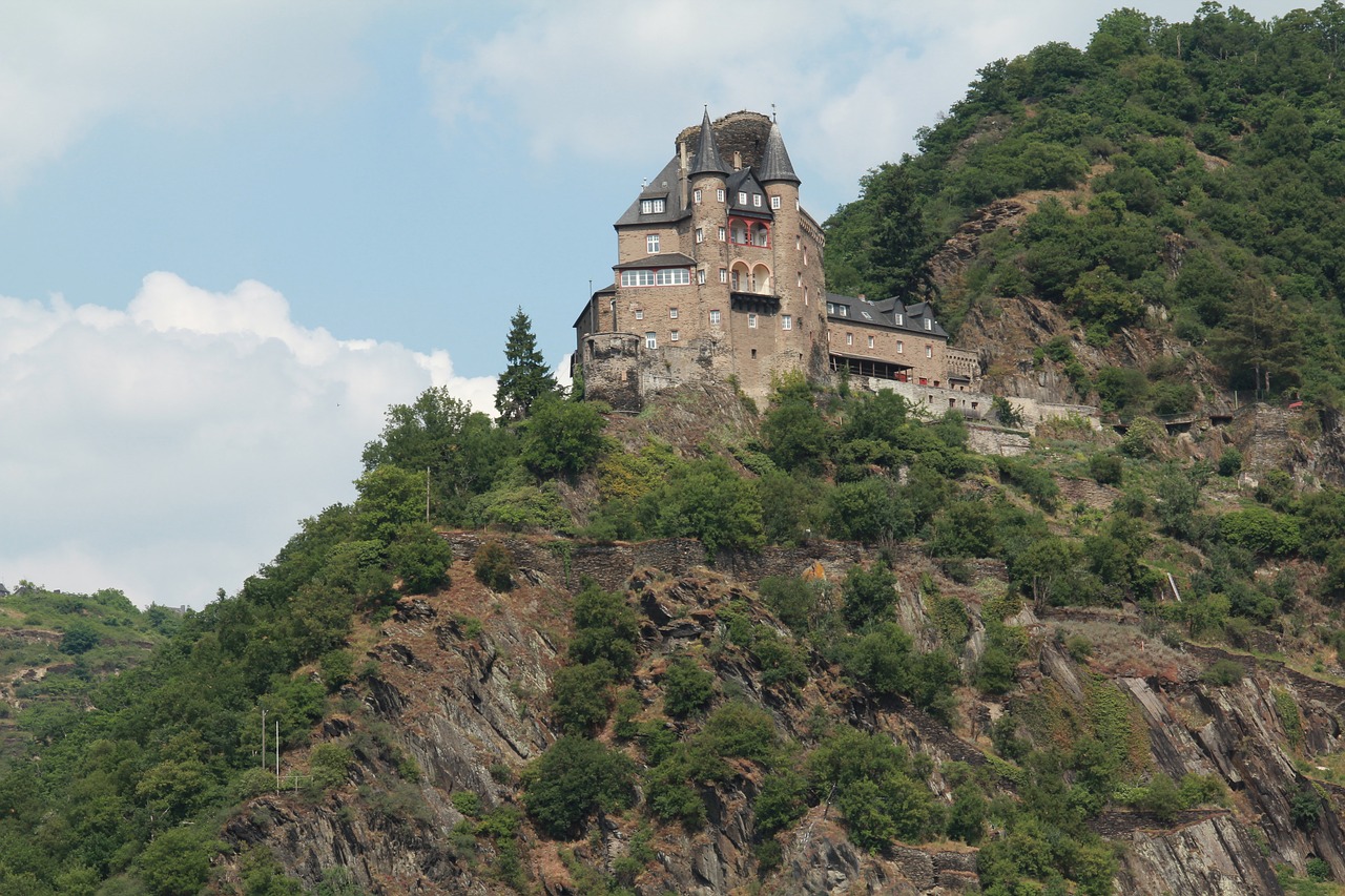 castle rhine valley castle mouse free photo