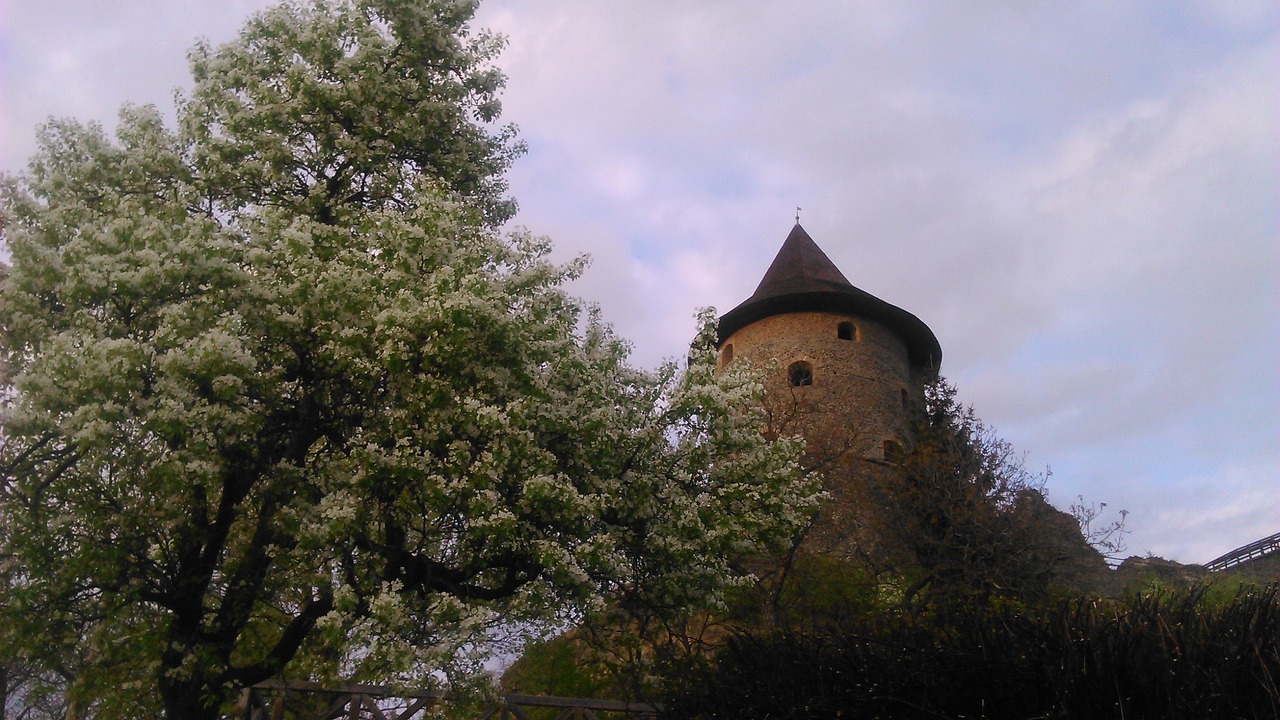 castle pear tree bloom free photo