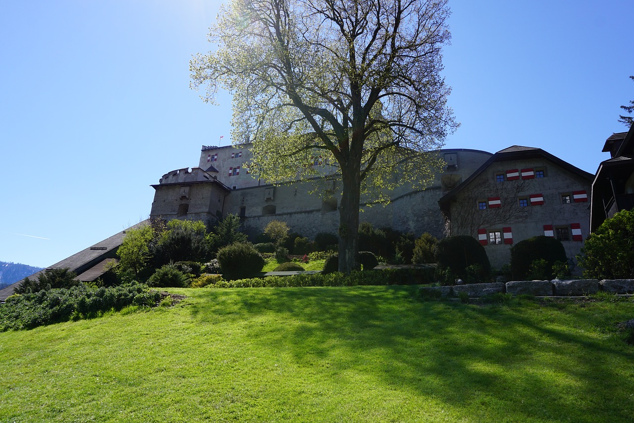 castle tree nature free photo