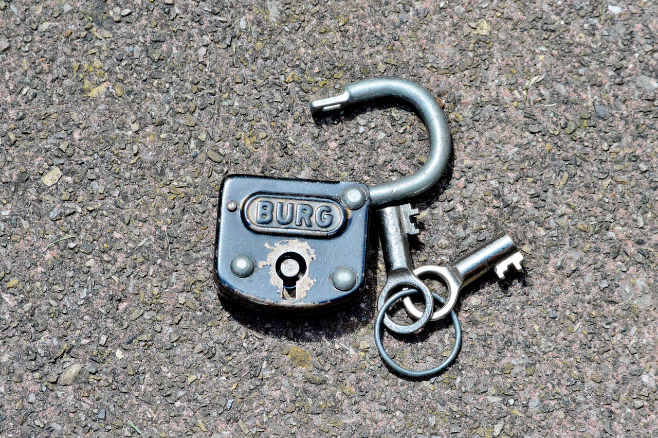 castle padlock key free photo