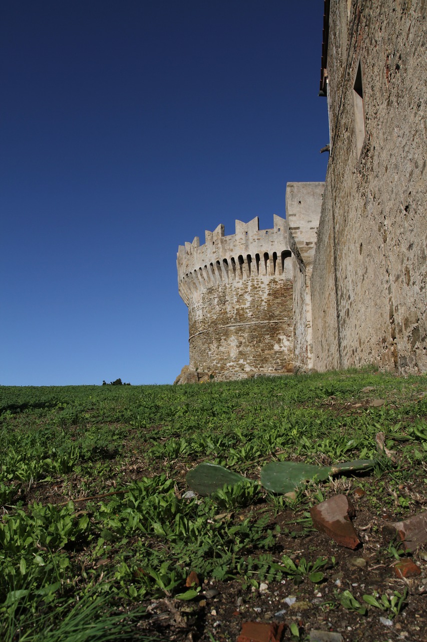 castle castles torre free photo