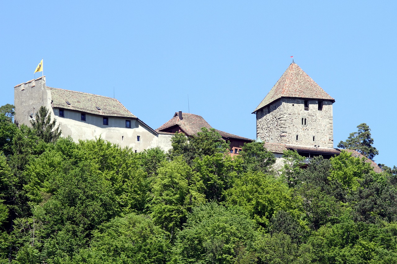 castle hohenklingen castle tower free photo