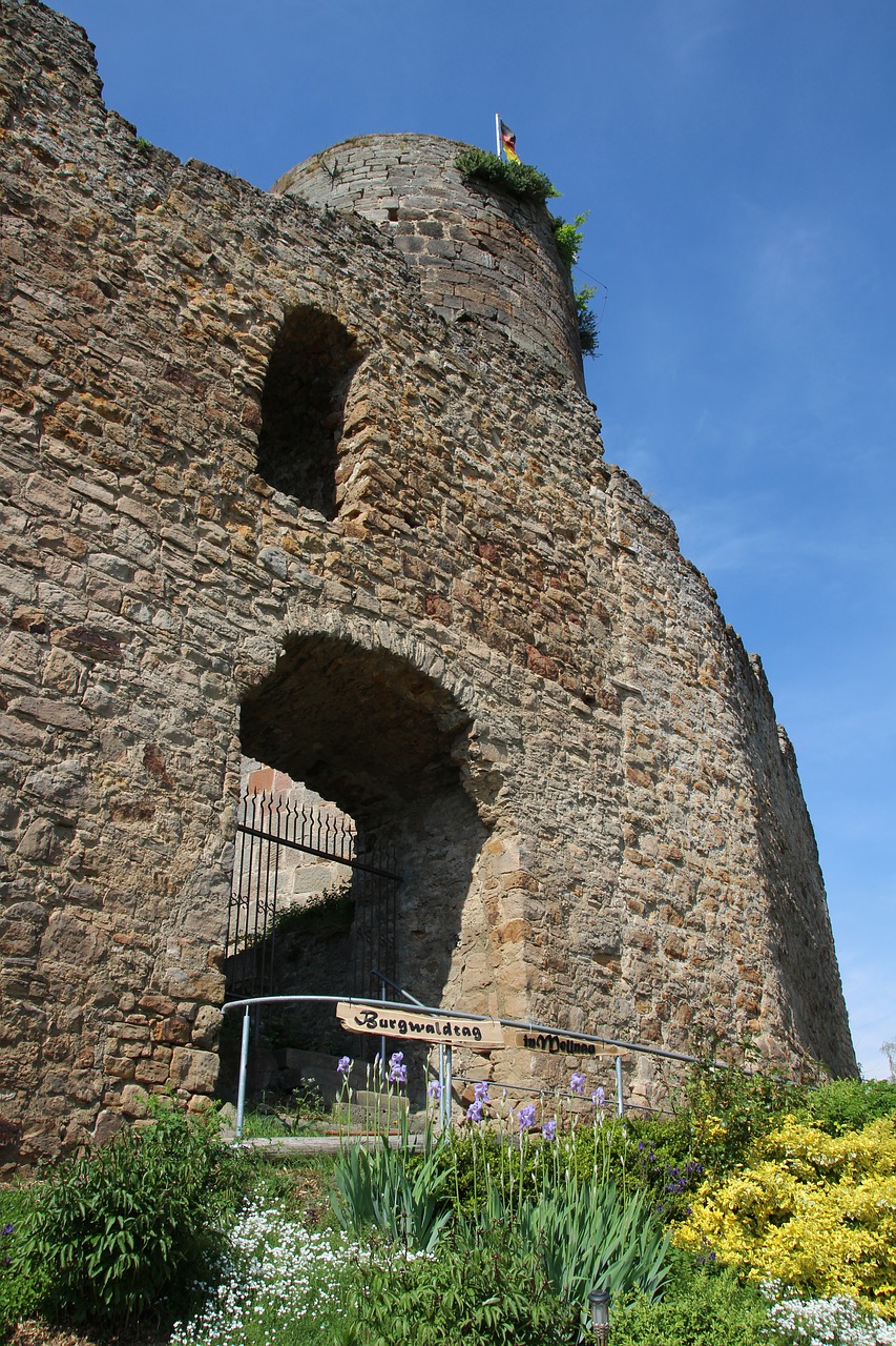 castle summer ruin free photo