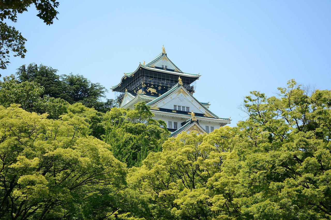 castle building trees free photo