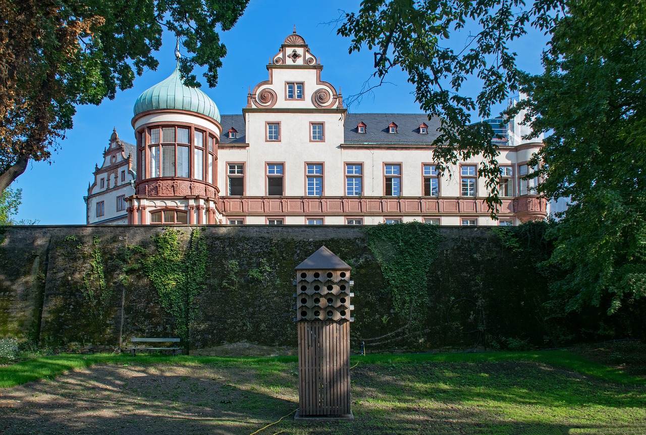 castle darmstadt hesse free photo
