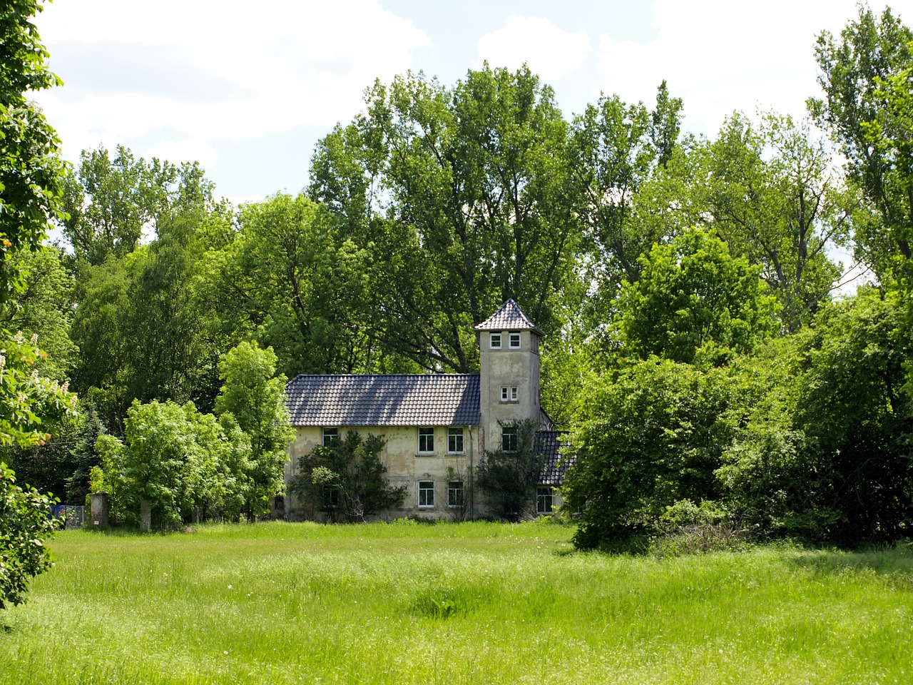 castle small forest free photo