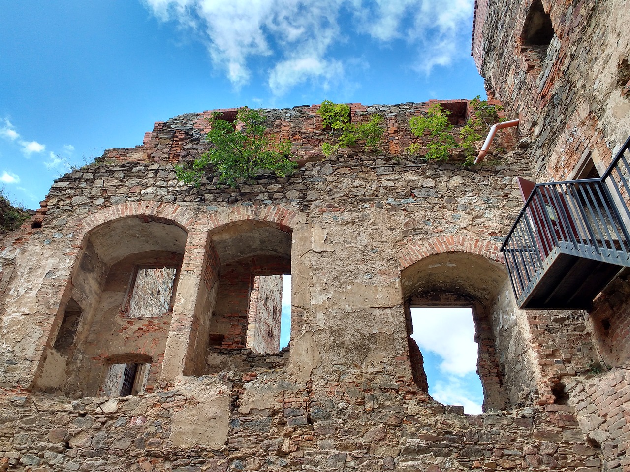 castle the ruins of the nature free photo