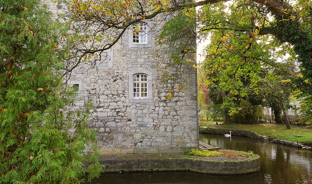 castle wasserburg swan free photo