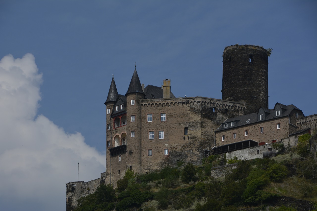 castle rhine middle ages free photo
