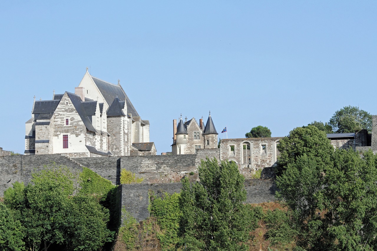 castle city of angers france free photo