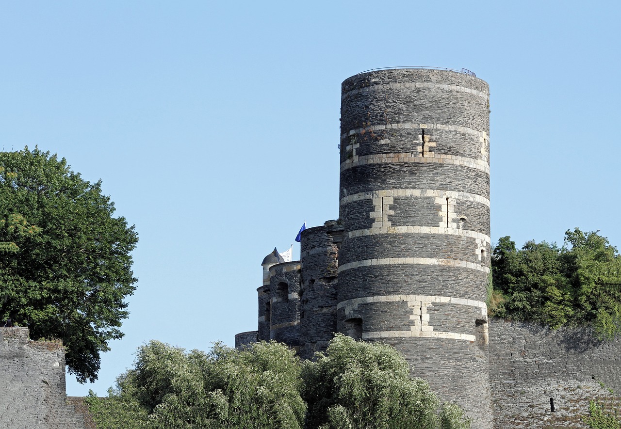 castle city of angers france free photo