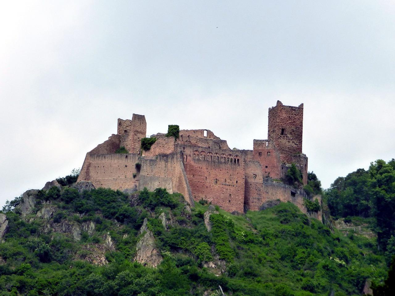 castle  ribeauvillé  alsace free photo