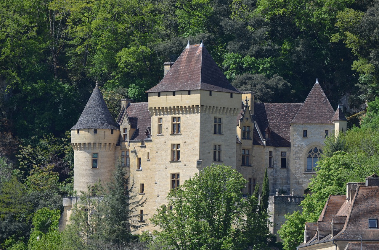 castle  france  dordogne free photo