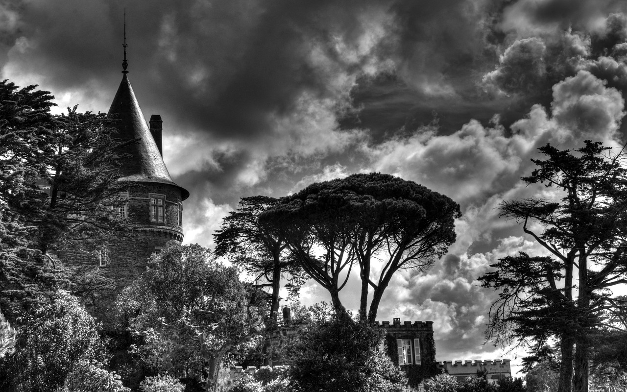 castle  sky  tree free photo