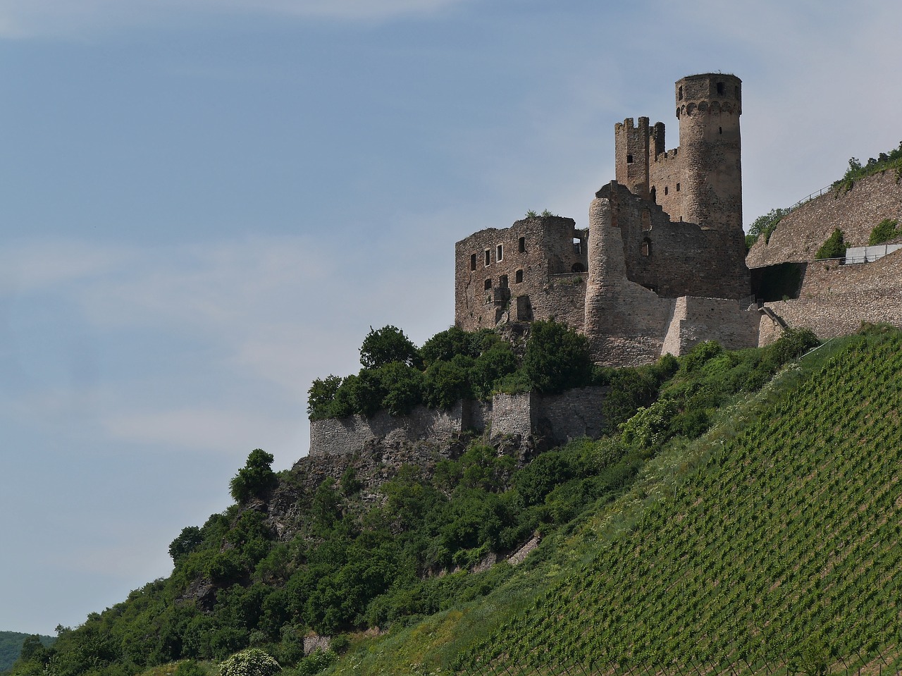 castle  ehrenfels  rhine free photo
