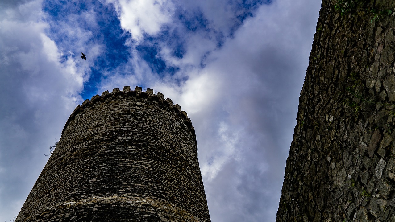 castle  sky  bird free photo