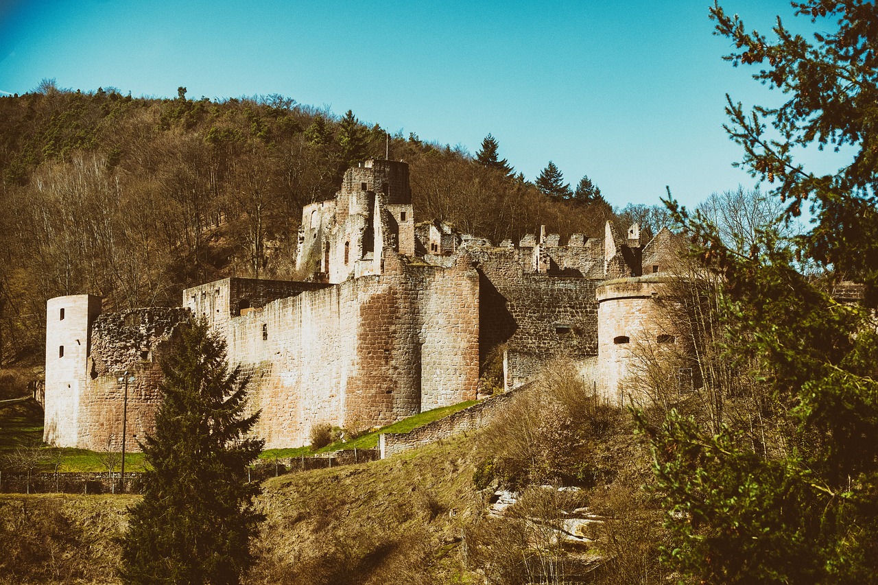 castle  knight's castle  fortress free photo
