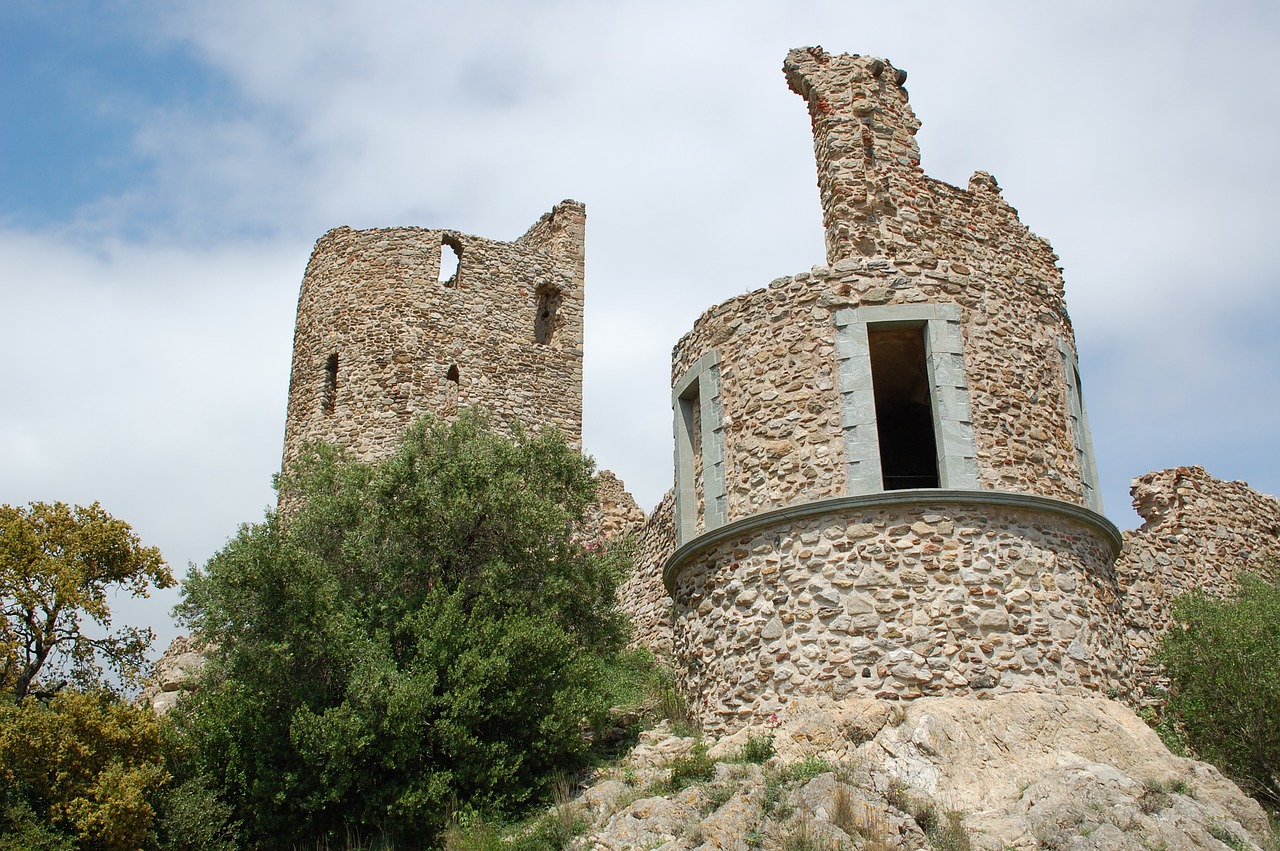 castle  olive tree  ruins free photo