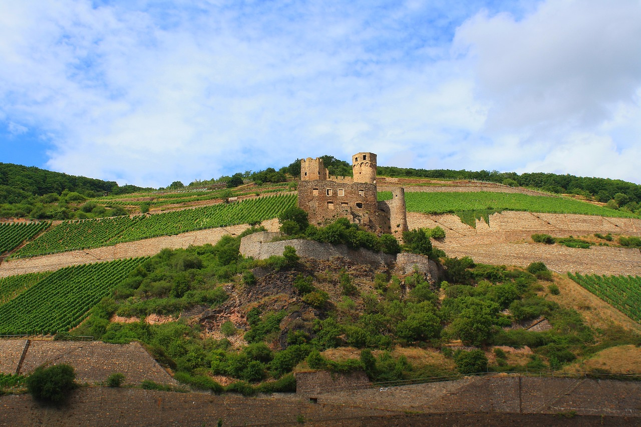 castle  sky  landscape free photo