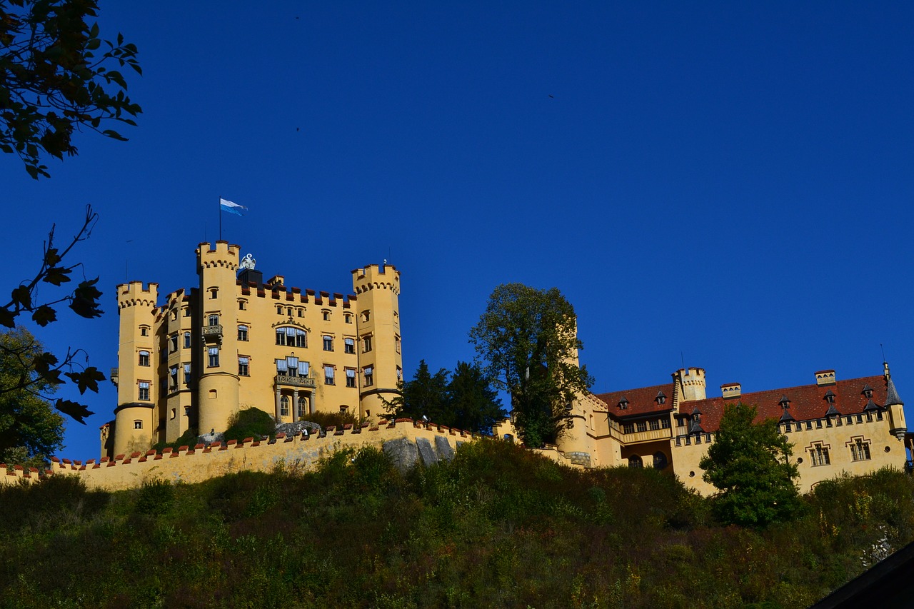 castle  hohenschwangau  bavaria free photo