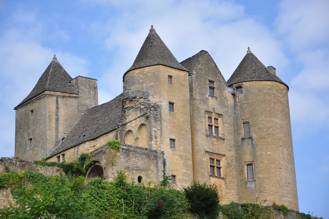 castle  monument  dordogne free photo