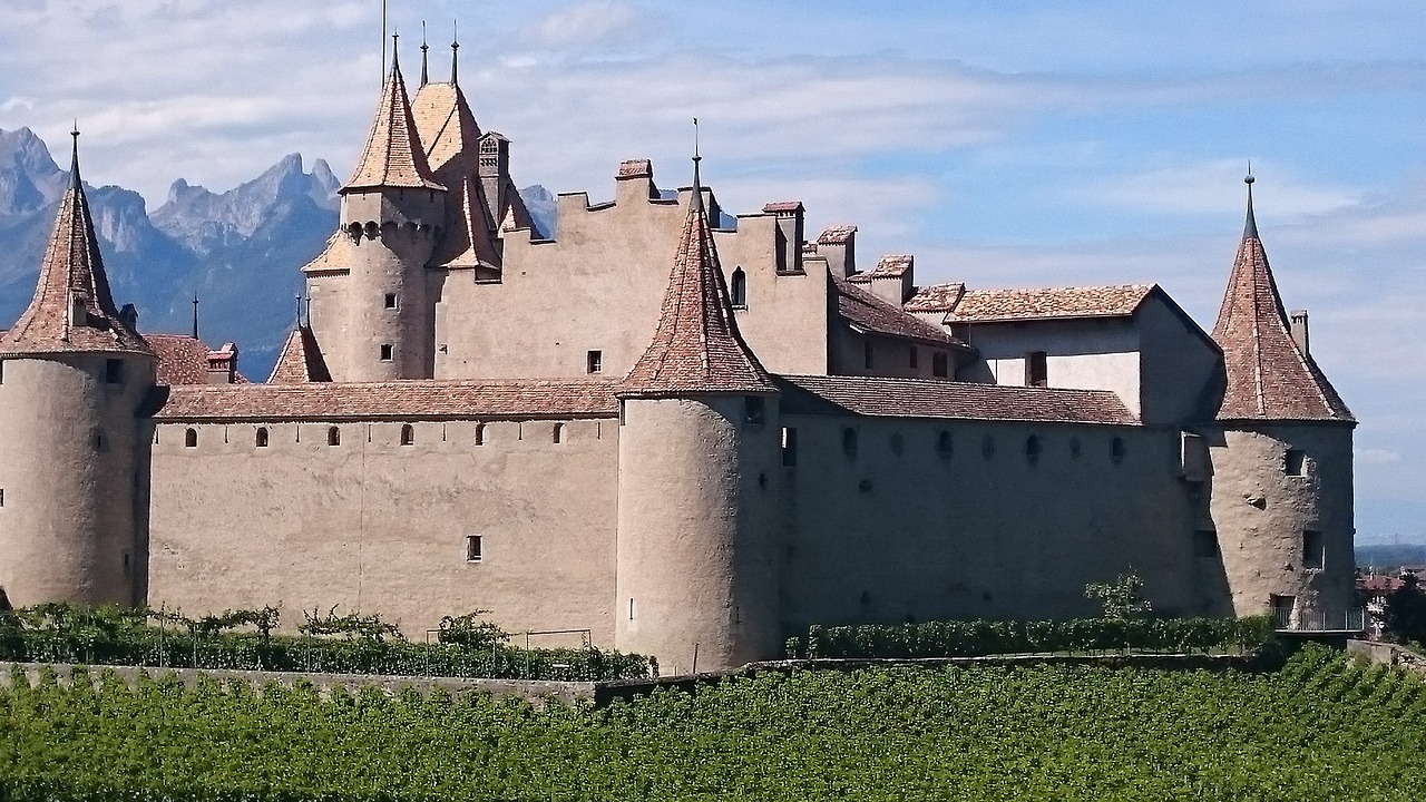 castle  vine  wine free photo