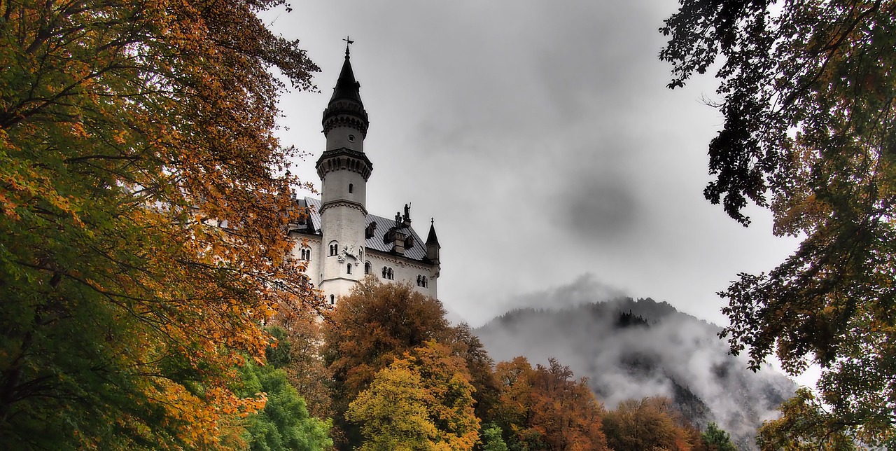 castle  mysterious  fog free photo