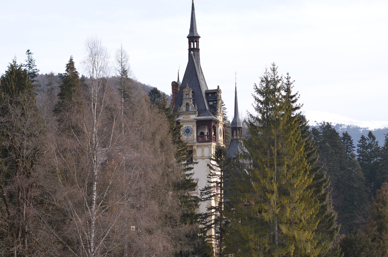 castle  romania  sinaia free photo