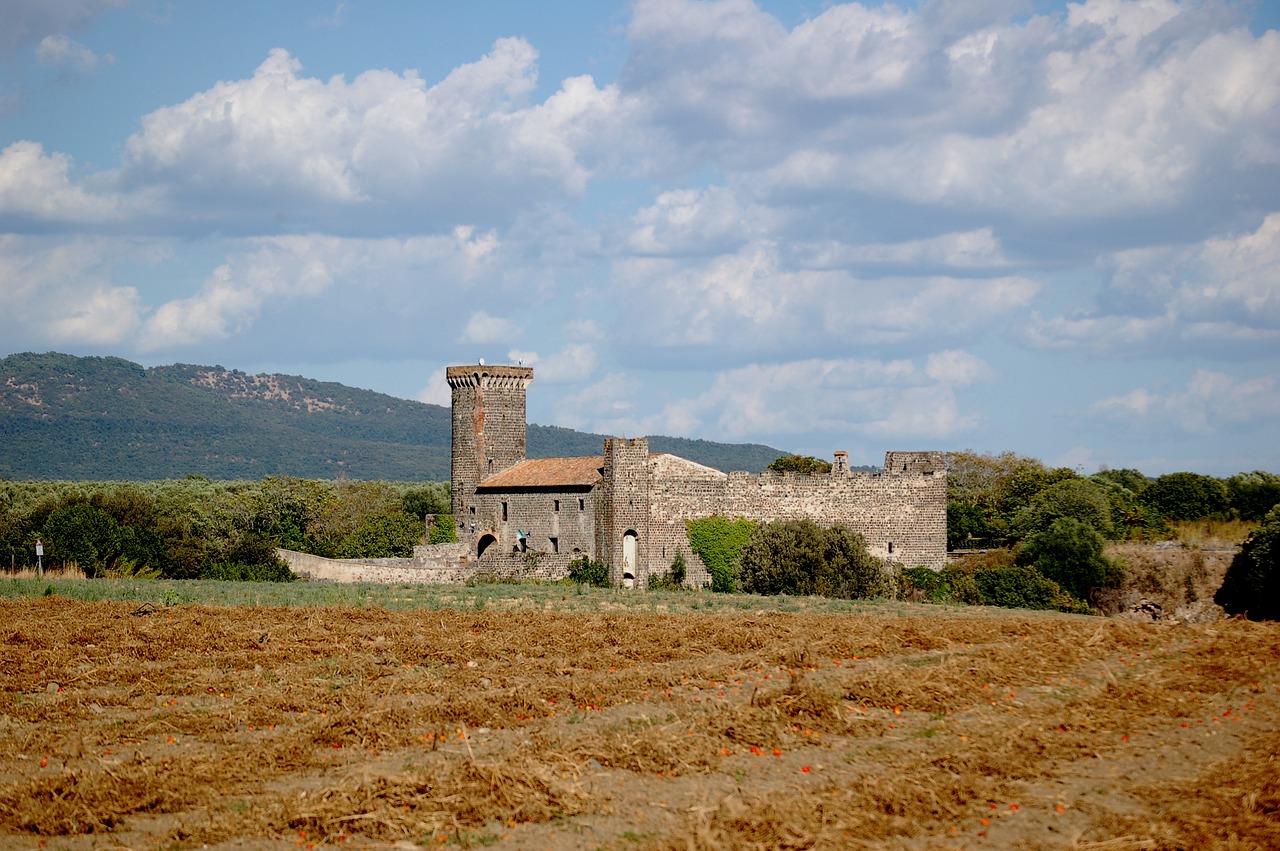 castle  field  history free photo