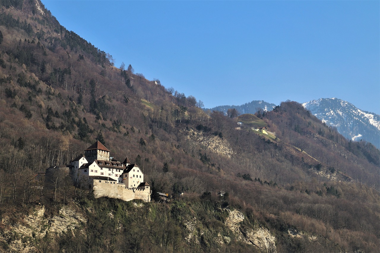 castle  liechtenstein  mountain free photo