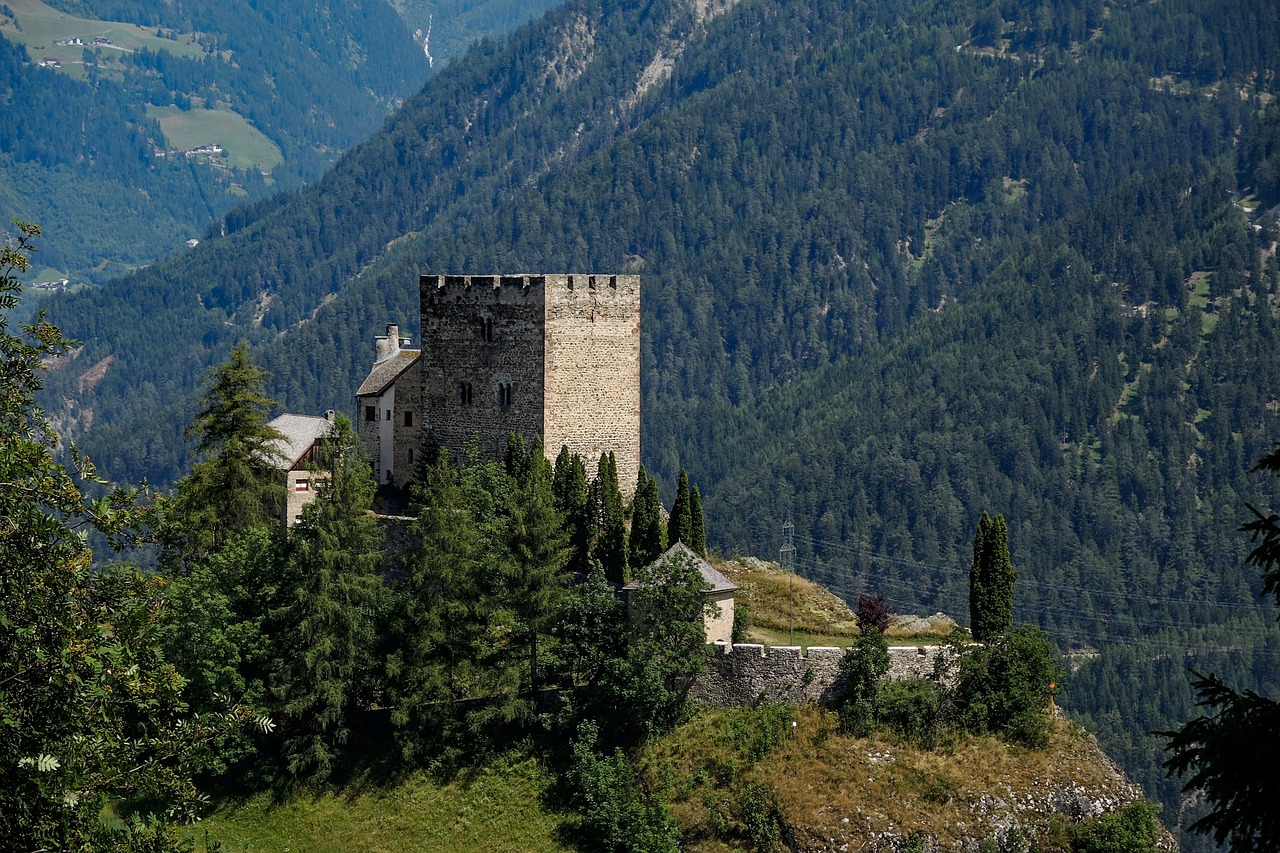 castle  ruin  fortress free photo