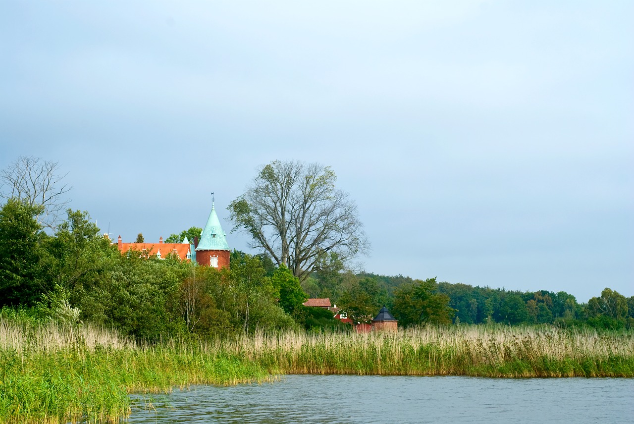 castle  roof  nature free photo