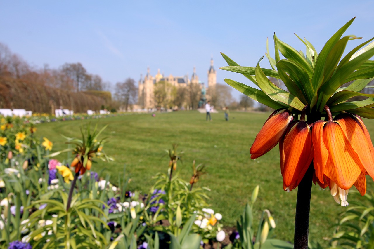 castle  schwerin  mecklenburg western pomerania free photo