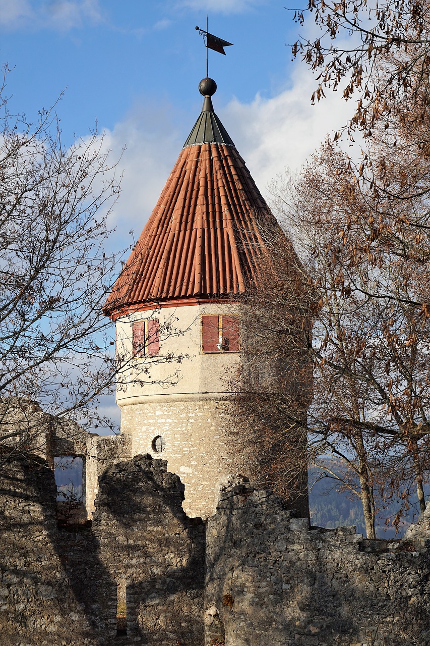 castle  ruin  tower free photo