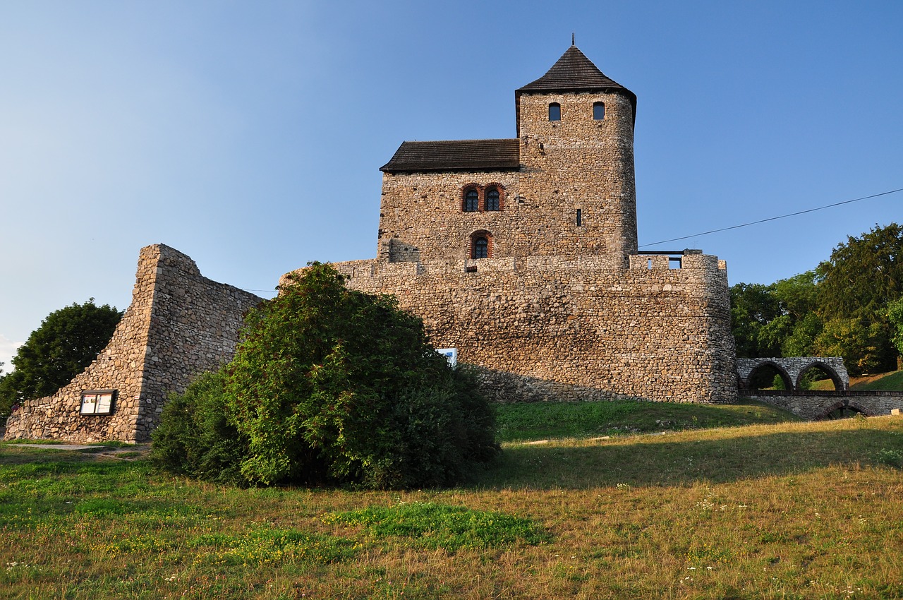 castle  old  będzin free photo