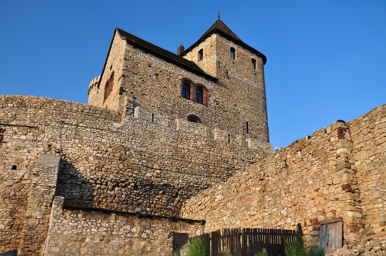 castle  old  będzin free photo