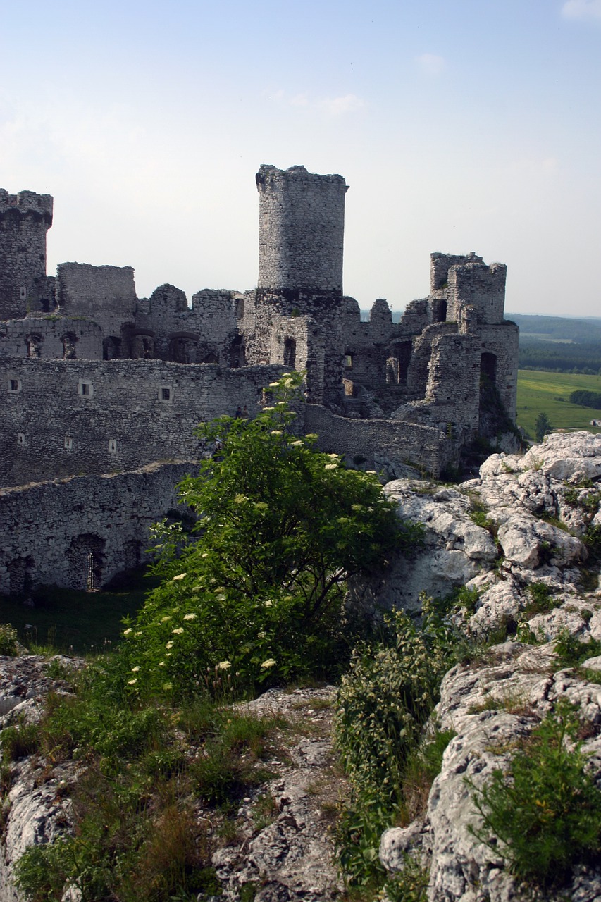 castle  the middle ages  old free photo